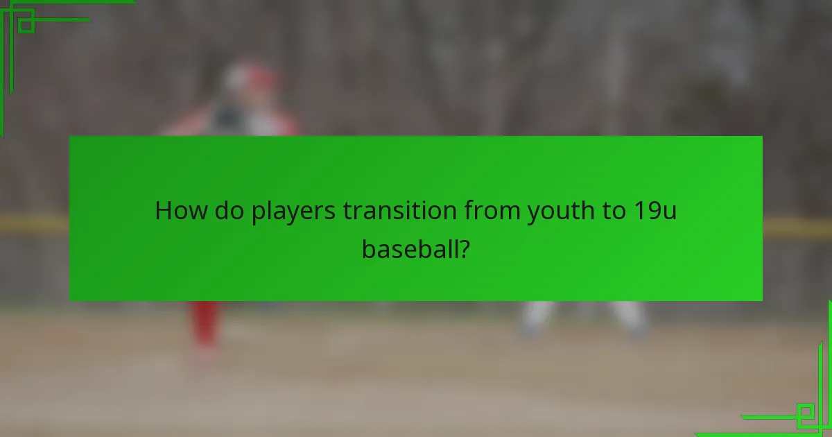 How do players transition from youth to 19u baseball?