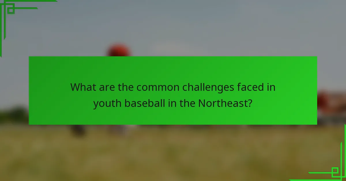 What are the common challenges faced in youth baseball in the Northeast?