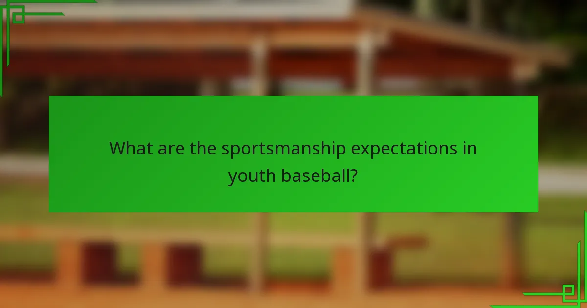 What are the sportsmanship expectations in youth baseball?